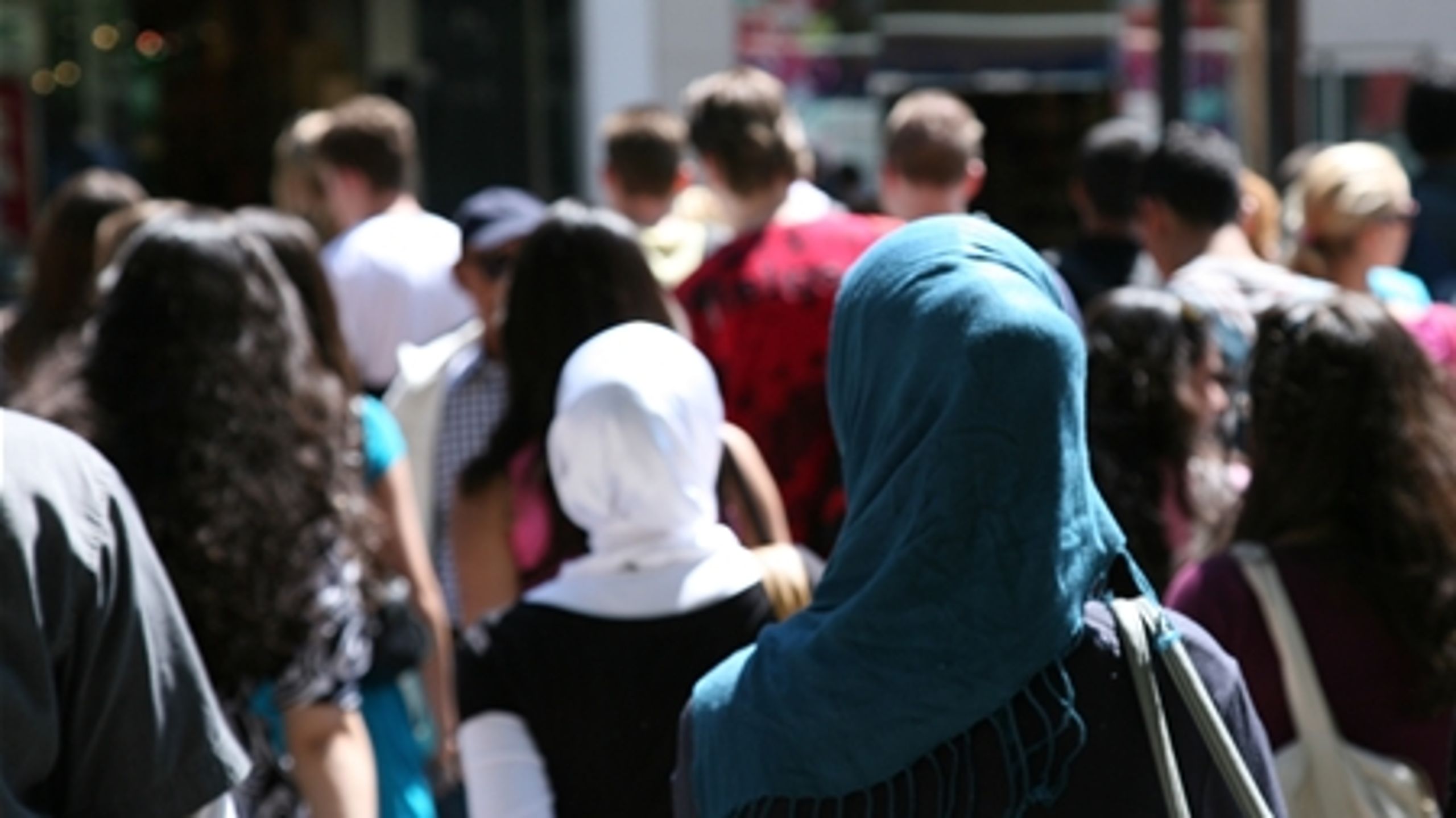 Med titlen "Plads til alle, der vil", hentet fra arbejdersangen "Danmark for folket", har S og SF vedtaget en fælles integrationsplan, partierne vil gennemføre som regering.