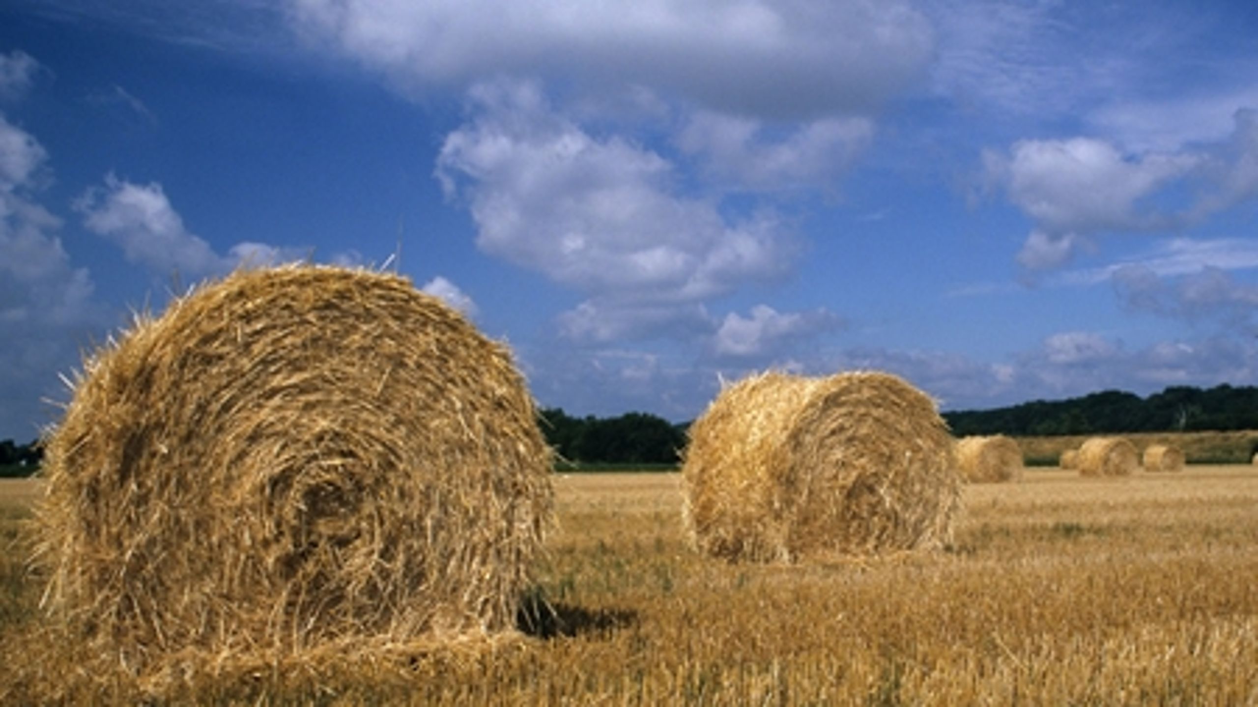 Hvis jordens indhold af kulstof falder i Danmark, bliver det som et af de eneste lande i verden regnet som CO2-udslip. Og det tæller så med i Danmarks klimaregnskab.