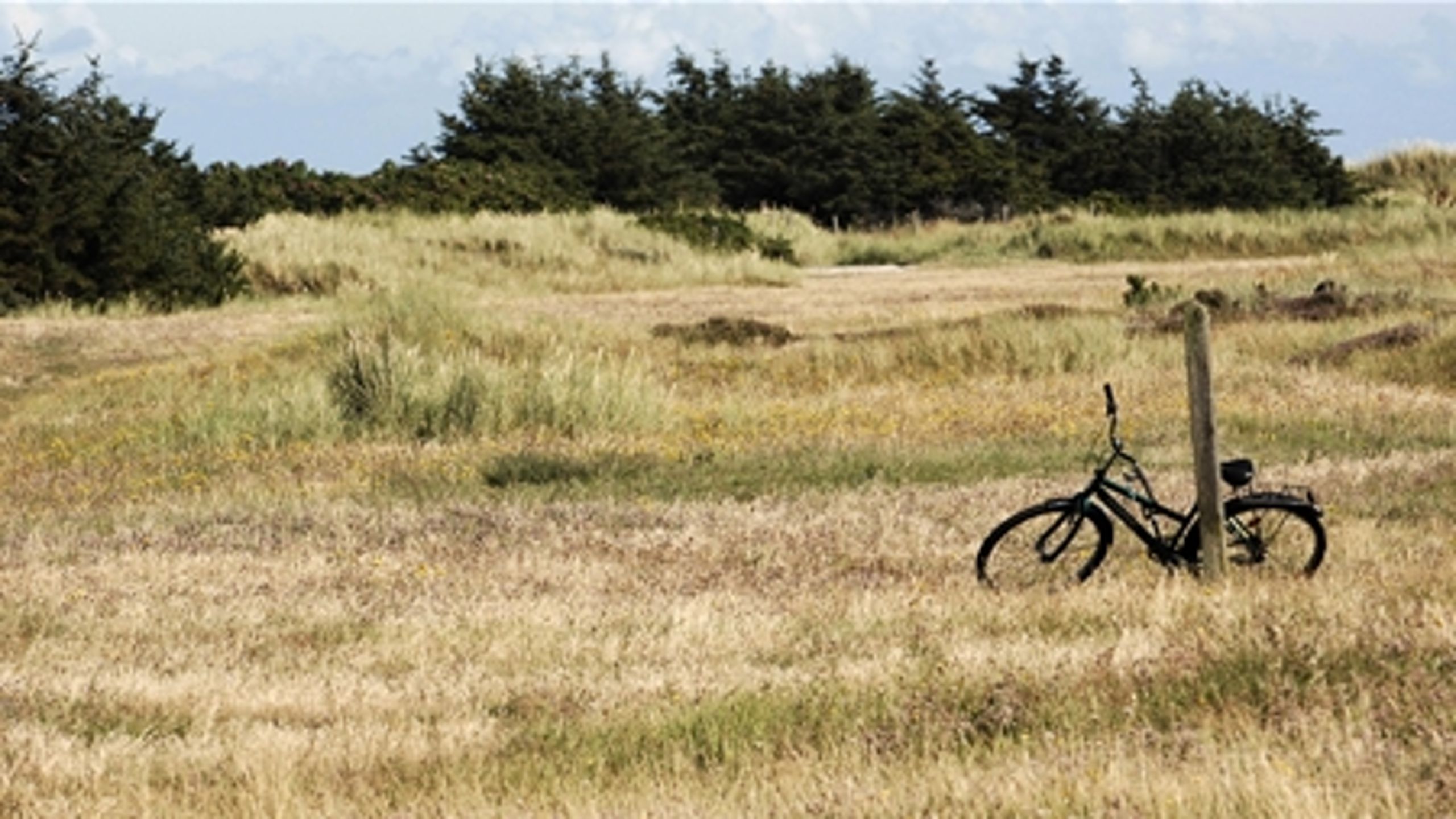Regeringen vil efter alt at dømme ikke hjemtage alle de penge, Danmark kan få fra EU's landdistriktsprogram i 2009.