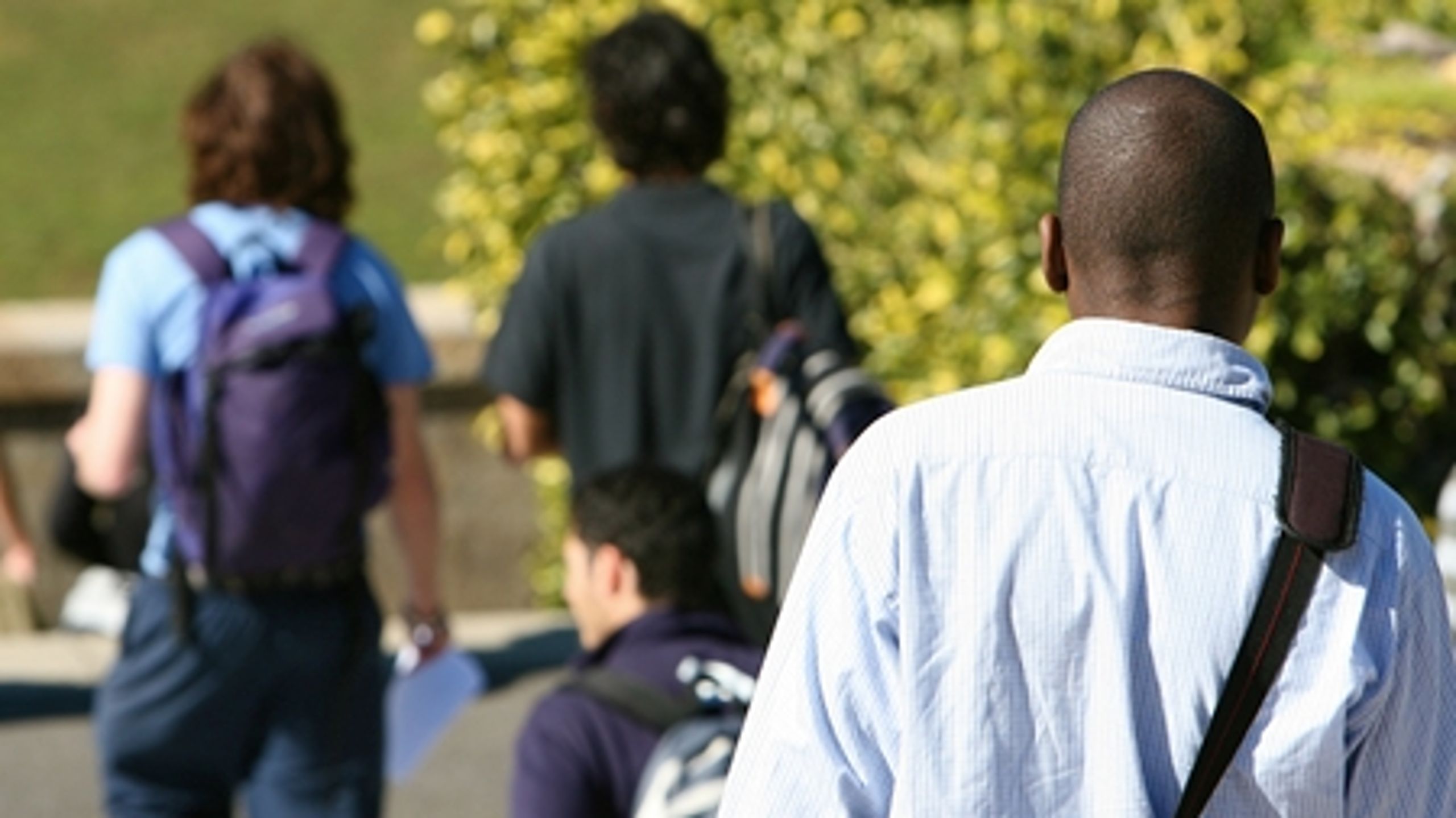 Stadig flere indvandrere uddanner sig, viser en ny undersøgelse fra Rockwoolfonden.