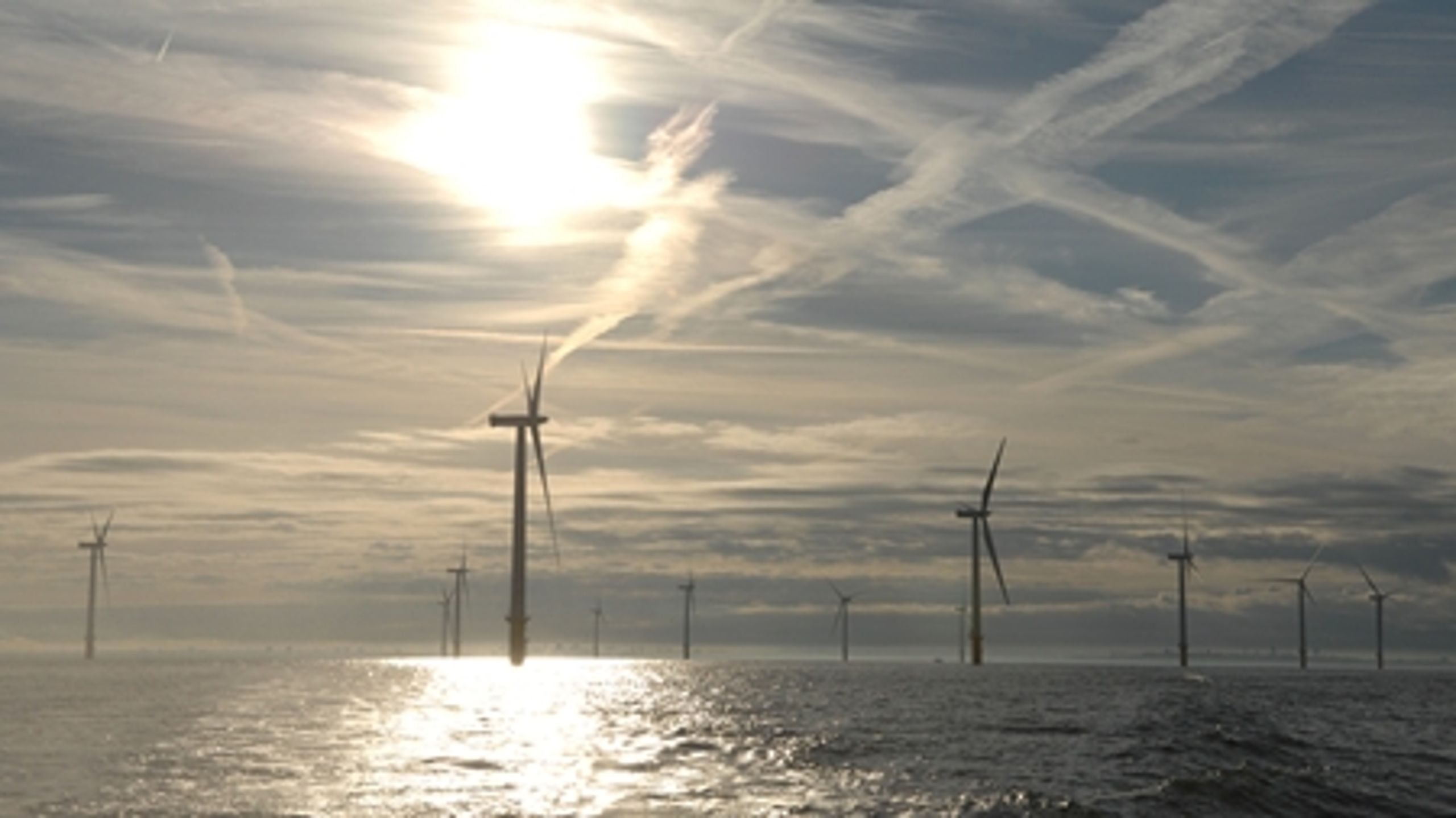 Manglende politisk handlekraft var ifølge Vestas skyld i, at virksomheden i denne uge måtte fyre næsten 2000 ansatte.