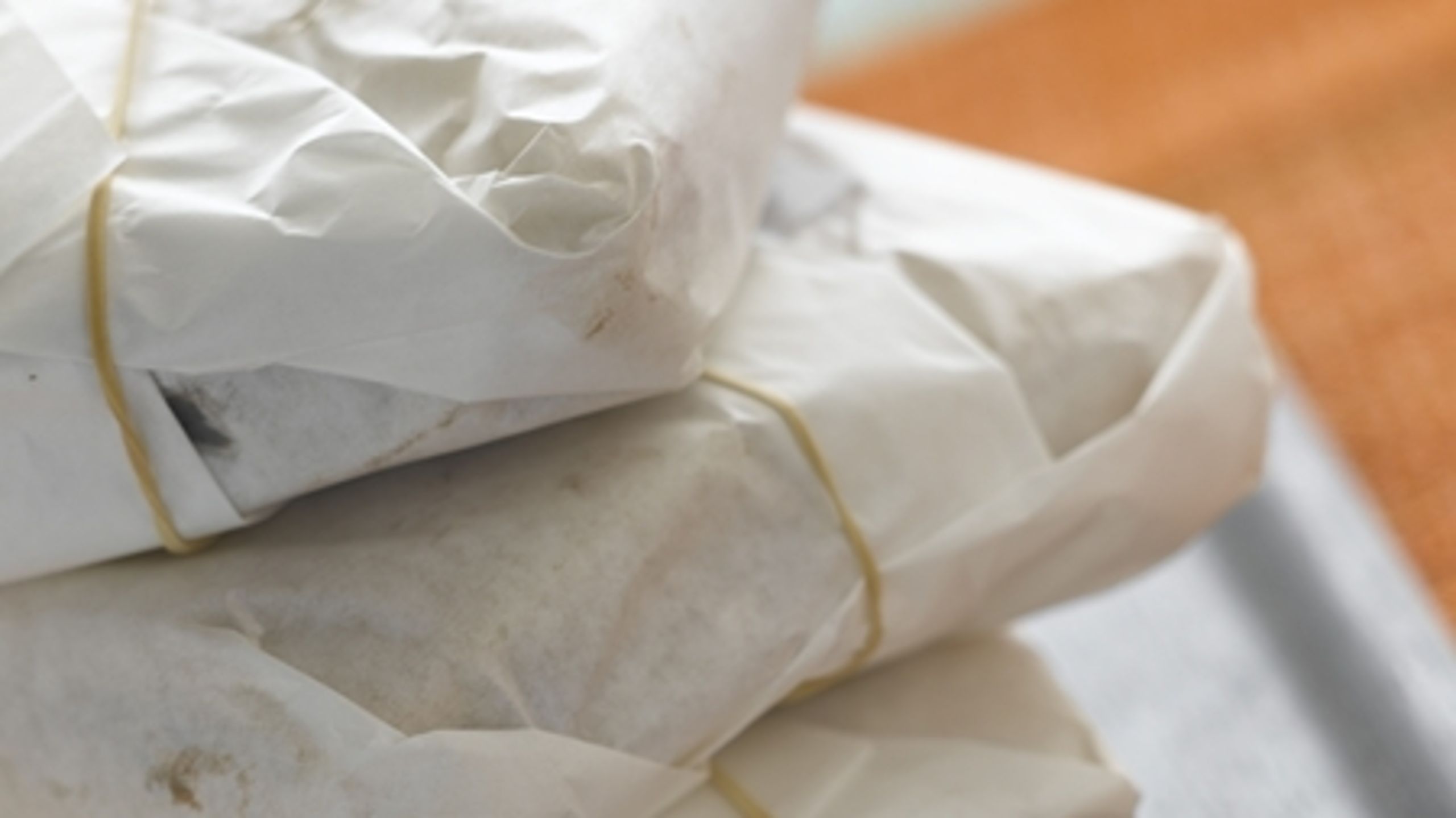 Oppositionen frygter, at maden i regeringens obligatoriske madordning vil blive endnu ringere end den mad, som forældrene selv kan give børnene med.