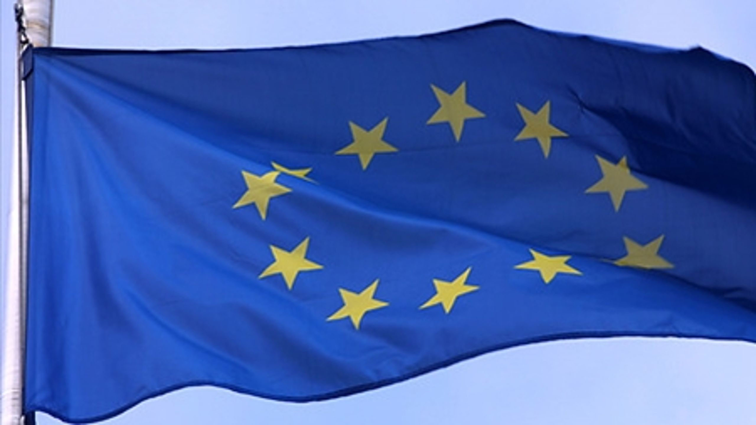 Inden den 14. juli skal det store puslespil om posterne i Europa-Parlamentet være lagt.   