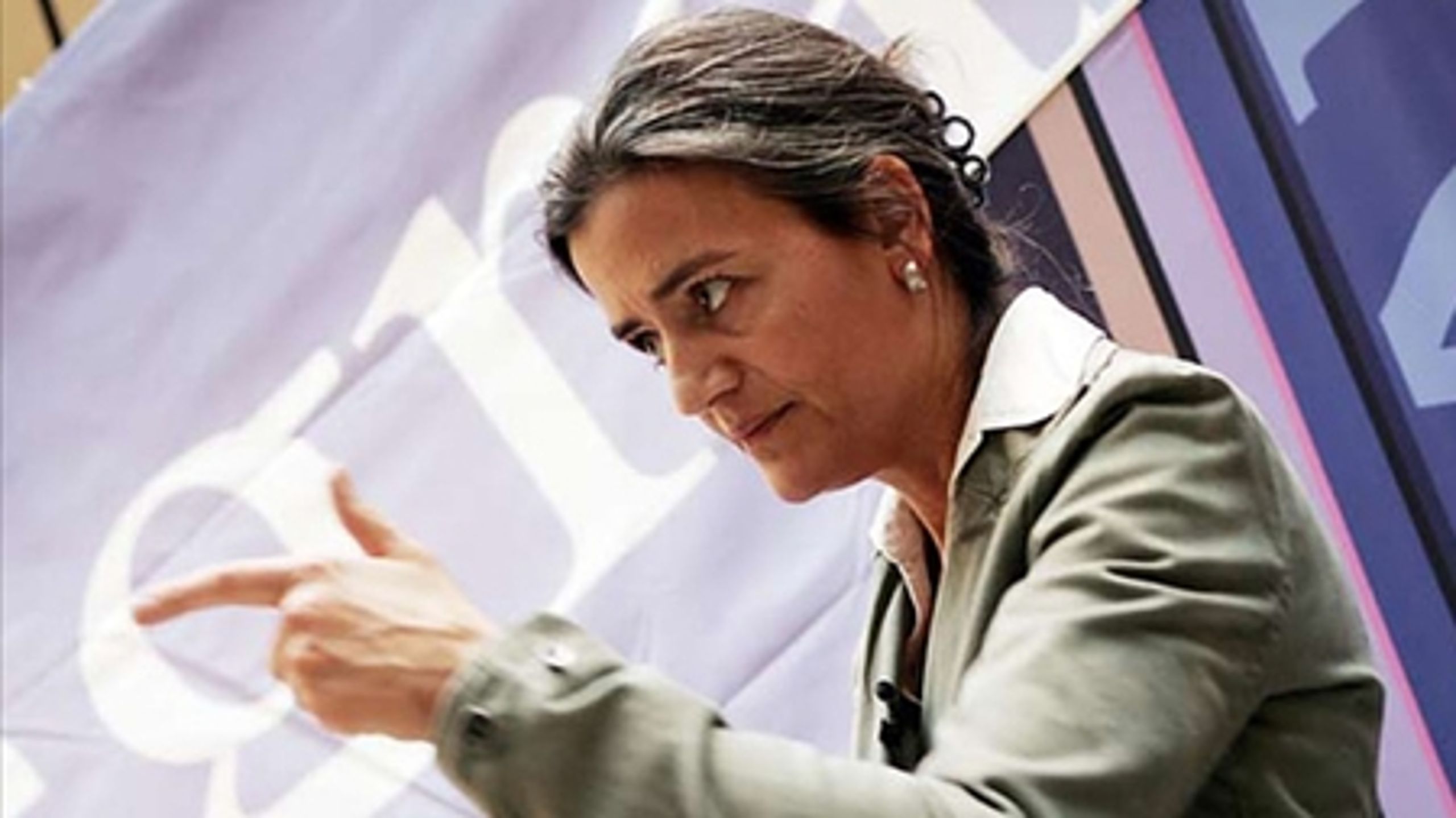 De Radikale vil fordoble den grønne check.