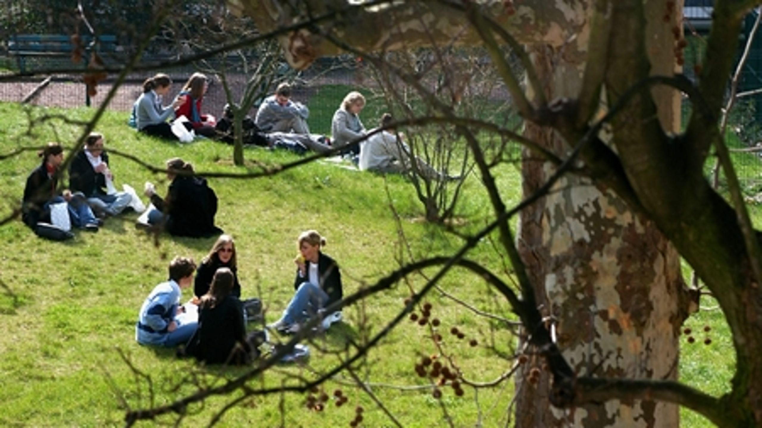 De unge er en anelse mere positive over for at halvere dagpengeperioden. Positivt, mener formand i Konservativ Ungdom.