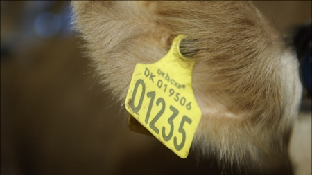 Ny mærkningsordning sparer landbruget for millioner