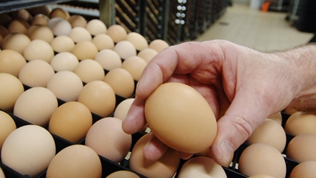 Fortsat kritik af Høegh i dioxinsag