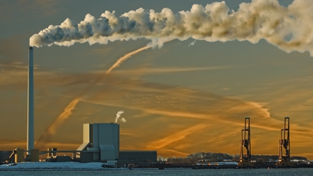 Nye energiafgifter kan bremse biomassen