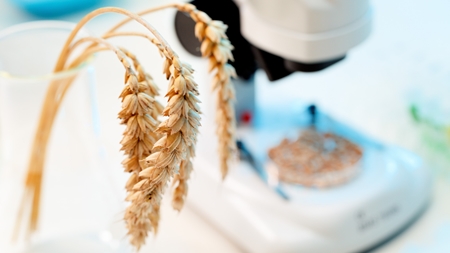 Auken afviser reform af EFSA