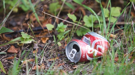 Auken vil ikke hjælpe Hold Danmark Rent 