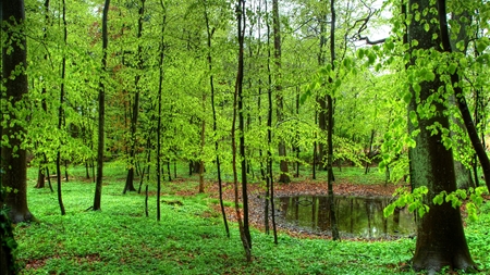Denne uge på Teknik (14)