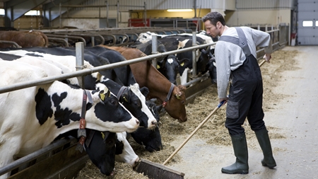 Tvivl om effekt ved landbrugsliberalisering
