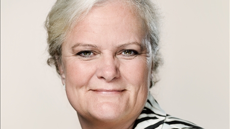 DF revser ministersvar om it-skandale