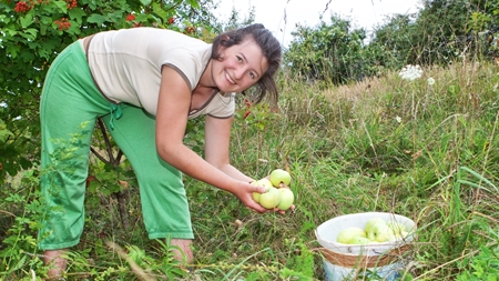 Tænketank: Familielandbrug er mere bæredygtige