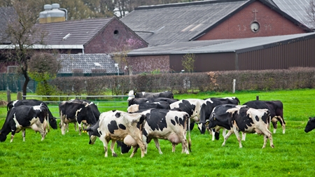Slutspil om landbrugsstøtten