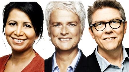 Her er SF's nye folketingsgruppe