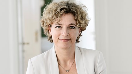 Fem sager vi vil huske fra 2014