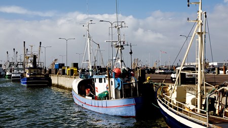 Uklare regler om fiskeudsmid frustrerer fiskerne