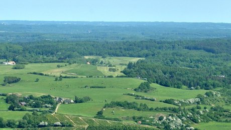 Måling: Hver fjerde vil støtte naturfond 