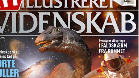 Bred enighed i Folketinget om ny 'sprogskat'