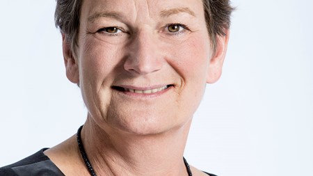 Universitetsdirektør i spidsen for Region Syd