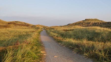 Overblik: Her er regeringens vækstplan