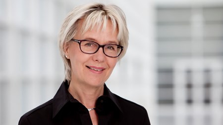 Fonde: Godt at lovforslag er sat i bero