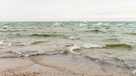 Bred opbakning til planlov for havet