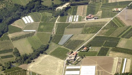 Danskerne vil beskære landbrugsarealet markant