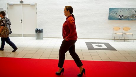 Enkeltsager og solidaritet i SF's vej ud af mørket