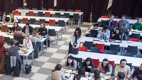 Overblik: Sådan er studiestøtten i andre lande