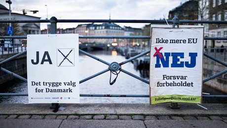 Politikerlede påvirkede vælgernes nej ved EU-afstemning