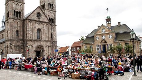 Styrelse cykler fra start i Viborg på firkantede hjul