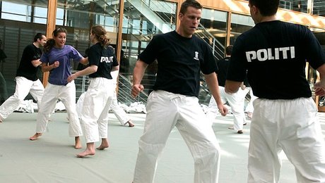 Analyse af ny politiskole bygger på usikre forudsætninger