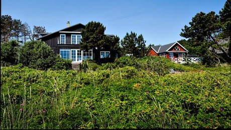 Fritidshusejerne: Fritidshusene efterlades i et vakuum