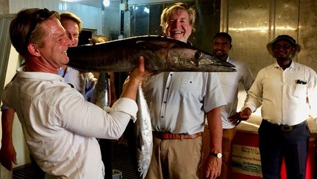 KU-forskere: Holder eventyret om Fair Fishing til et reality-tjek?