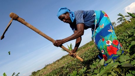 CARE: Småbønder er en god investering