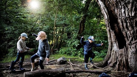 LA: Dårlige dagtilbud må ikke kunne gemme sig