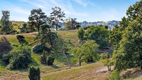 Naturfonden har nyt natur-køb på plads