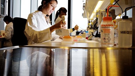 Ny temadebat: Går vi den rigtige vej med det nye forskningskatalog?