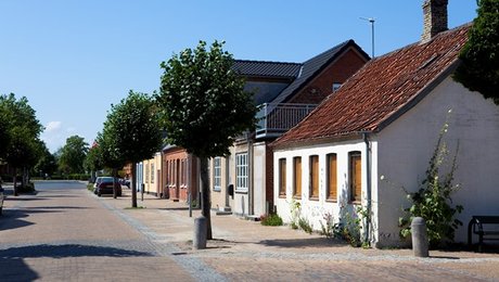 Studieleder: Der findes nye muligheder for vækst i landsbyer