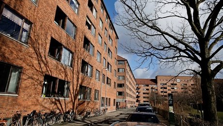 Andelsformand: Nykredit har bragt andelshavere i økonomisk uføre