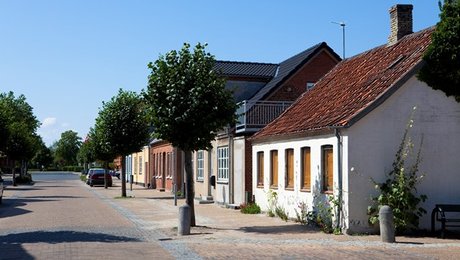 Landsbyforening: Der er brug for ildsjæle i landsbyerne – og lovgiverne kan hjælpe dem på vej