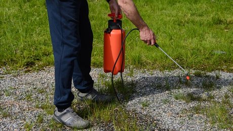 S: Bureaukrati skal som ukrudt holdes nede