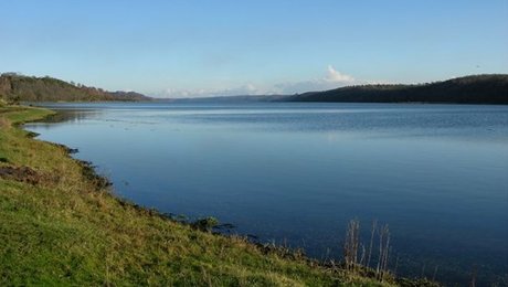 Udenlandske forskere: Danske kvælstof-krav hviler på solidt fundament
