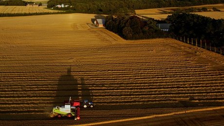 DF tilfreds med Cowi-redegørelse