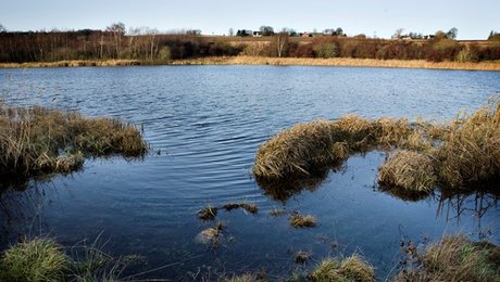  Regeringen gransker gamle kvælstof-tal: Landbrugspakken kan bygge på forkert grundlag