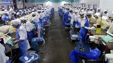 Innovationsfonden efter krisen: Handler ikke kun om at skabe jobs