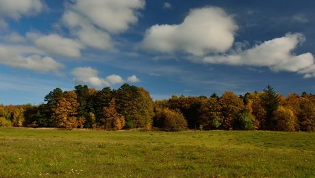 Naturfonden sender 15 millioner til naturen