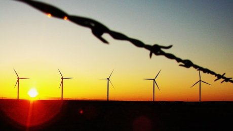 Grønt overblik: Det skal du holde øje med i denne uge